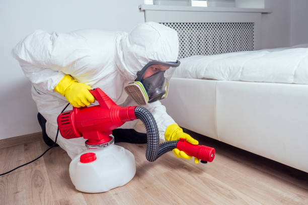 Best Termite Control Services  in Big Bend, WI