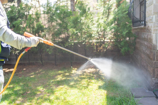 Trusted Big Bend, WI Pest Control Experts