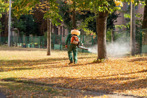Best Best Pest Control Companies  in Big Bend, WI