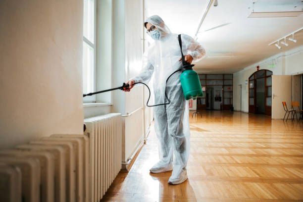 Best Affordable Pest Control Services  in Big Bend, WI