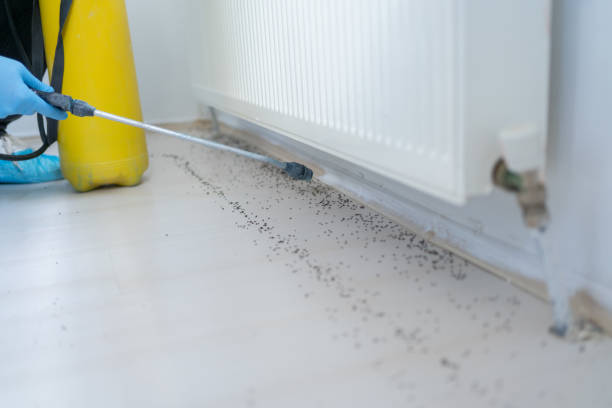 Pest Control for Restaurants in Big Bend, WI